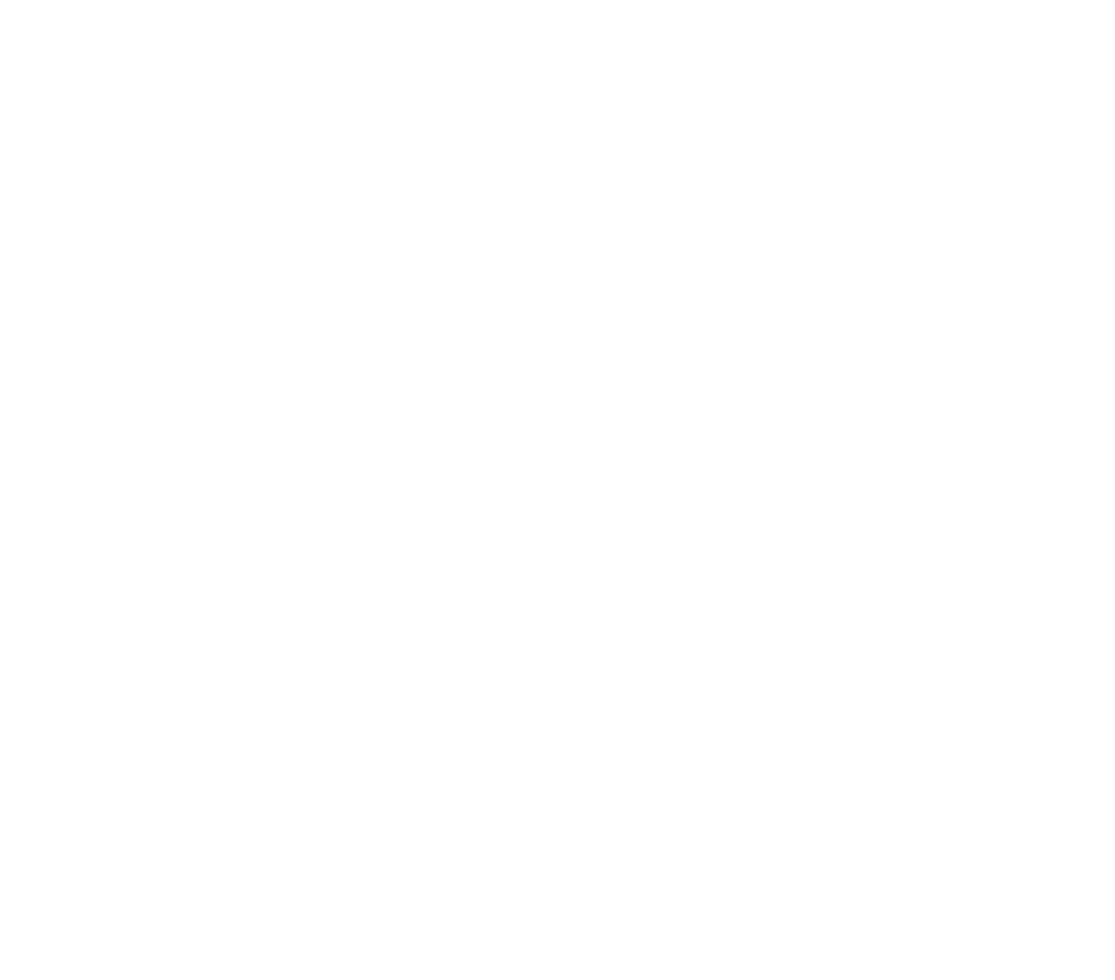 attempt_one_bijela_ikona